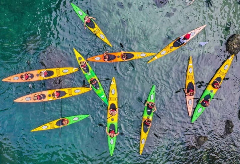 Sorrento: Guided Kayak Tour with Paddleboarding - What You Can Expect from This Sorrento Kayak Tour