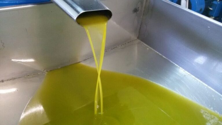 Sorrento: Lemon, Olive Oil and Wine Tasting Tour with Lunch - Practical Details and Considerations