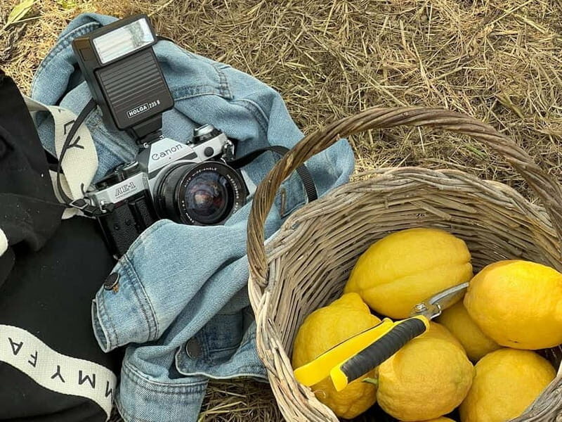 Sorrento: Lemon Picking & Tasting Tour - What Travelers Love Most