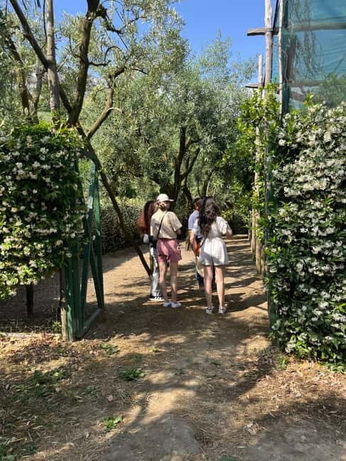 Sorrento:Garden tour of Lemons and Oranges tree - The Value and Why It’s Worth It