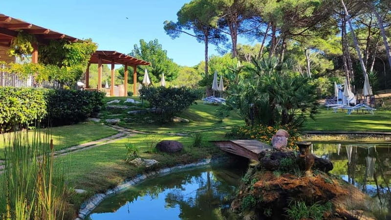 Sorso: relaxing day in a villa - The Morning: Breakfast and Poolside Relaxation