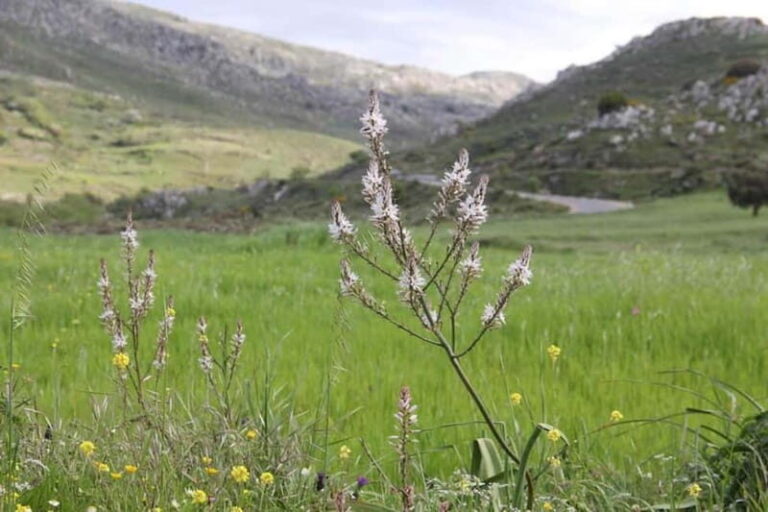 South Crete: Nature Tour to Scenic Villages, Gorges, Lakes - Who Will Love This Tour?