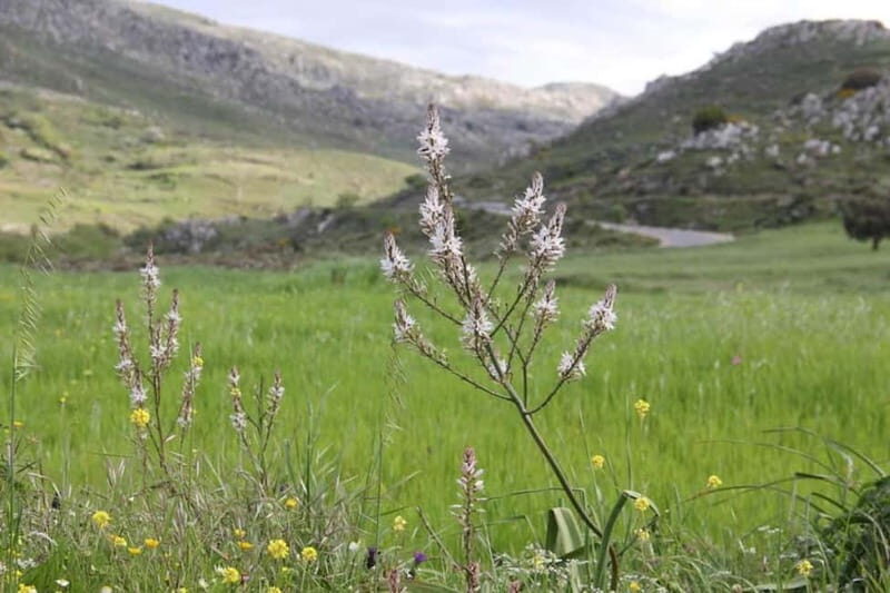 South Crete: Nature Tour to Scenic Villages, Gorges, Lakes - Who Will Love This Tour?