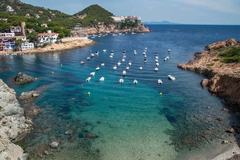 Spain: Coastal Drive and Boat Tour with Optional Cava - Who Should Consider This Tour?