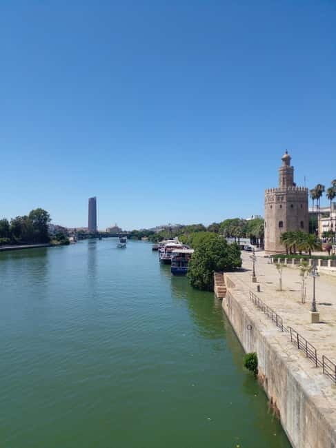 Spain Top Tour (Barcelona, Madrid, Valencia, Malaga,Sevilla) - Transport and Logistics