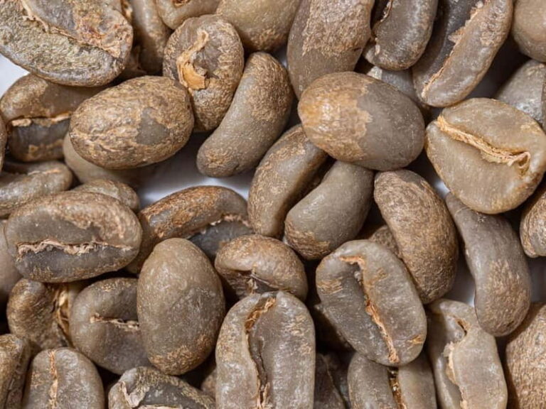 Specialty Coffee Workshop & Tasting Experience in Rome - The Experience: What to Expect from the Coffee Workshop in Rome