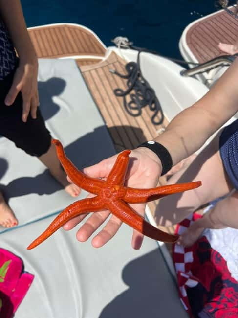 Split: 5 Islands Full-Day Tour to Blue Cave, Vis & Hvar - Why This Tour is Worth Considering