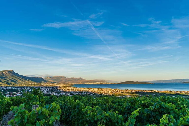 Split: Sip & Celebrate Wine-tasting Hen Party in a Vineyard - The Atmosphere and Views
