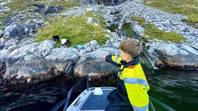 Stavanger: Guided Lysefjord Cruise to Pulpit Rock - The Itinerary in Detail