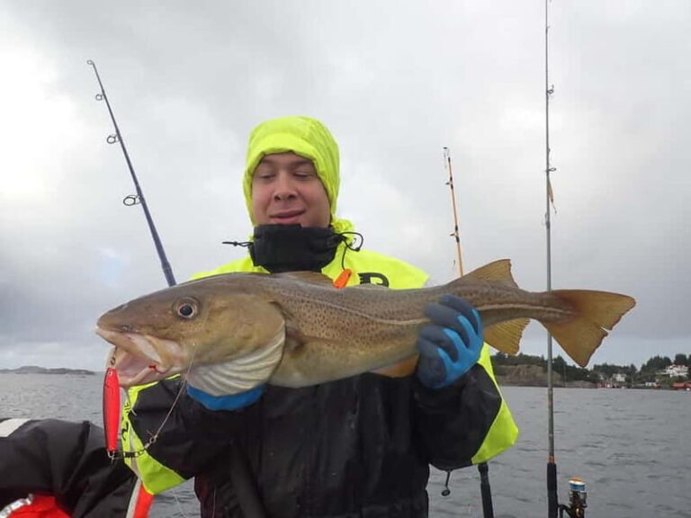 Stavanger: Lysefjord Cruise, Fishing, and Dinner Tour - Practical Details & What to Expect