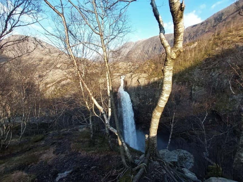Stavanger: Månafossen Waterfall Guided Tour with Transport - Detailed Breakdown of the Tours Highlights