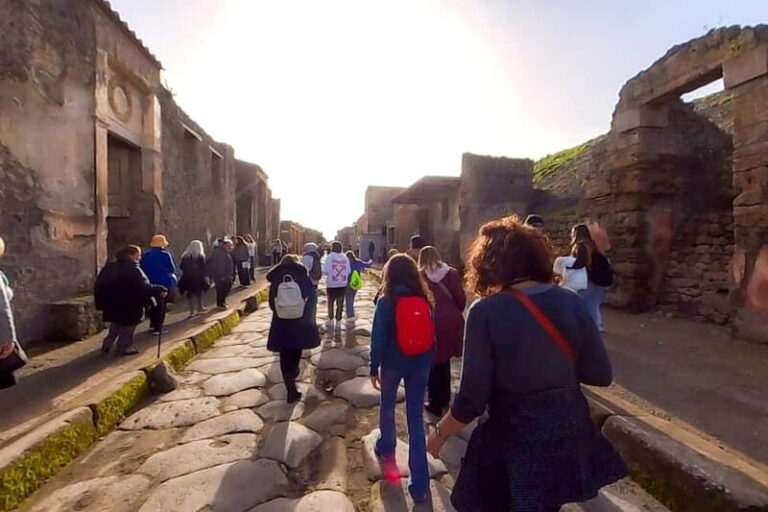 Step Back in Time: Pompeii Guided Tour with Naples Pick up - Who Is This Tour Best For?