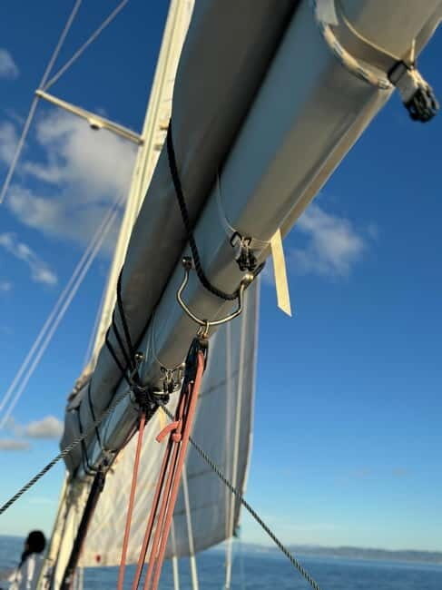 Stintino: Sailing Adventure with Authentic Flavors Onboard - The Experience of a Small Group