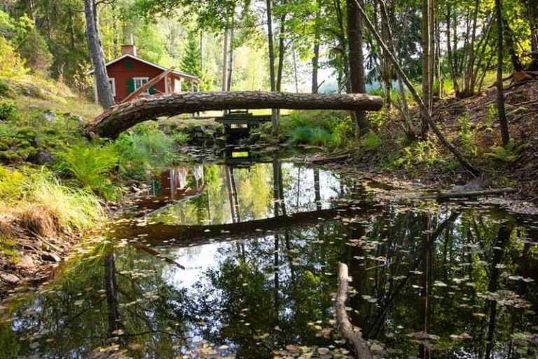 Stockholm: Canoe and Kayak Rental in Sörmland - Who Will Love This Experience?