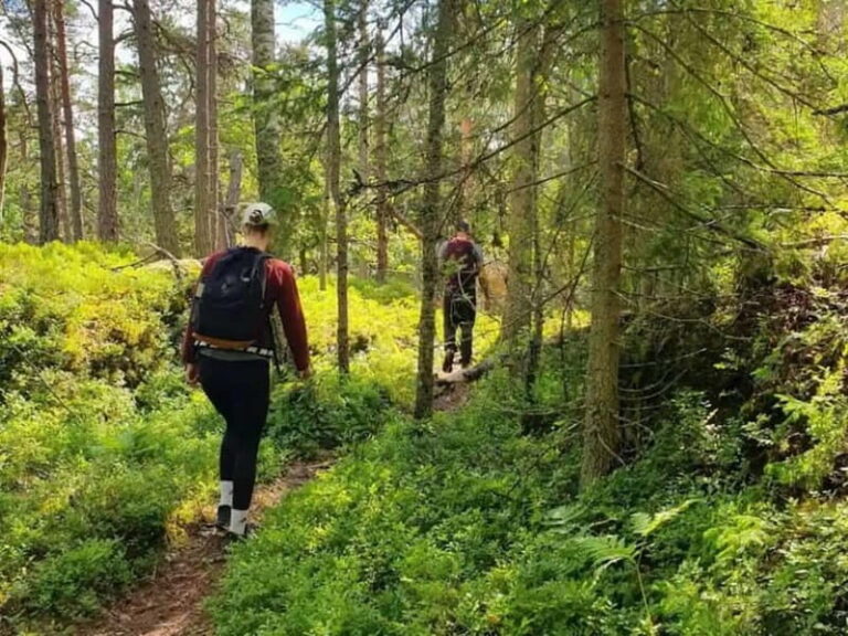 Stockholm: Nature Reserve Hiking Tour with Campfire Lunch - Authentic, Well-Balanced Outdoor Experience