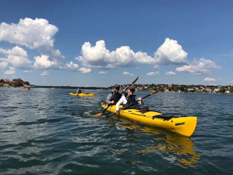 Stockholm: Stockholm Archipelago Full-Day Kayak Tour - The Experience and Its Value