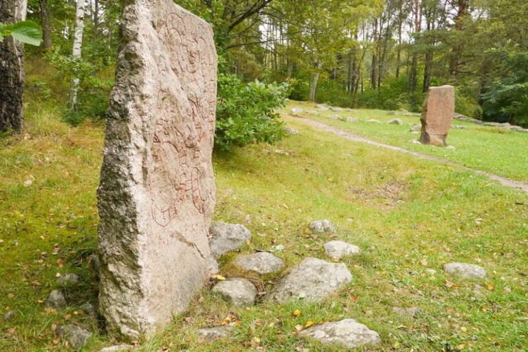 Stockholm Viking History Full Day Tour to Sigtuna + Uppsala - Transportation and Group Experience
