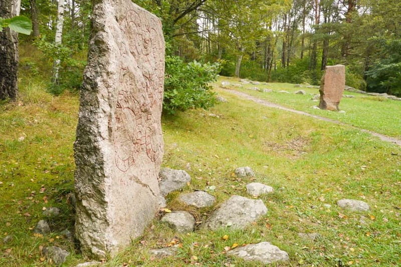 Stockholm Viking History Full Day Tour to Sigtuna + Uppsala - Transportation and Group Experience