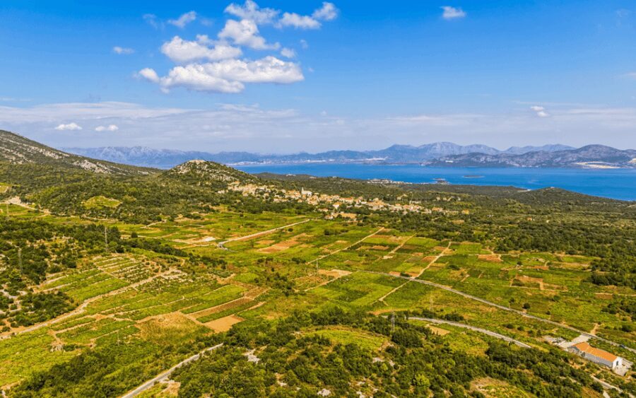 Ston, Peljesac and Korcula Winetasting Tour - Exploring the Highlights of the Tour