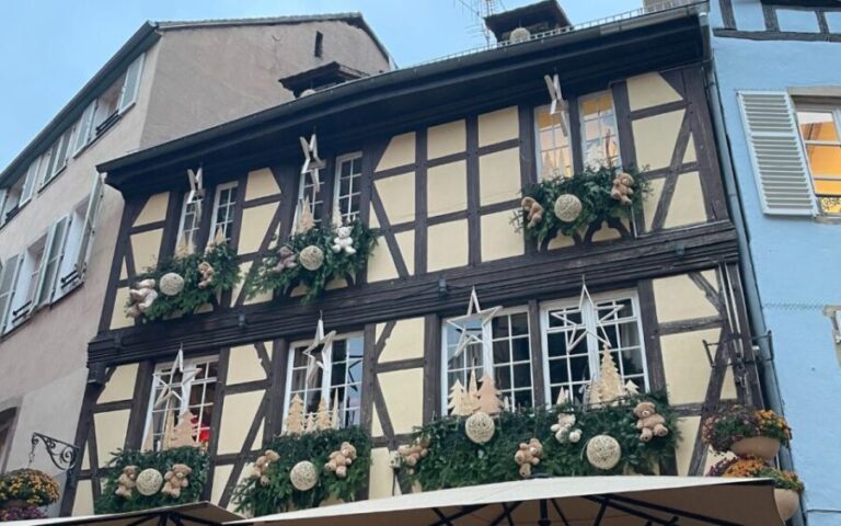 Strasbourg: Christmas Markets Walking Tour with Mulled Wine - What to Expect on the Tour