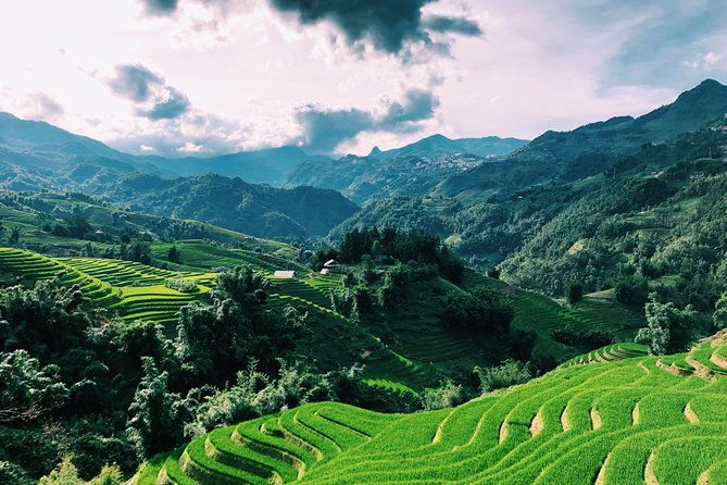 Stunning Terraced Rice Fields on 2-Day Trekking - An In-Depth Look at the 2-Day Sapa Trekking Tour