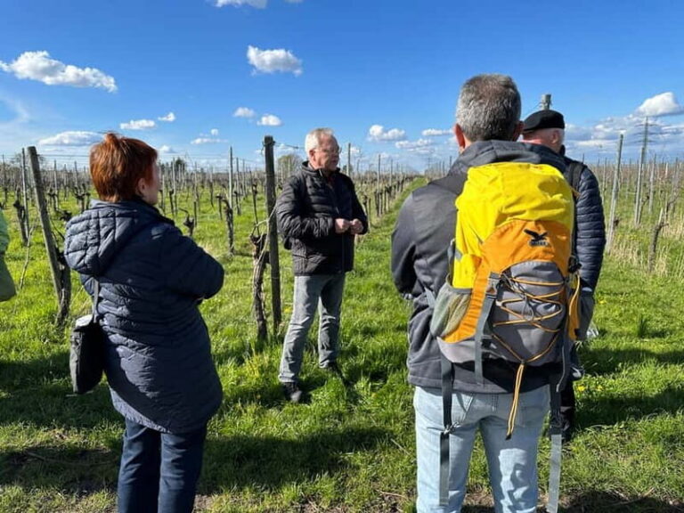 Stuttgart: After work wine walk with tasting - Final Thoughts