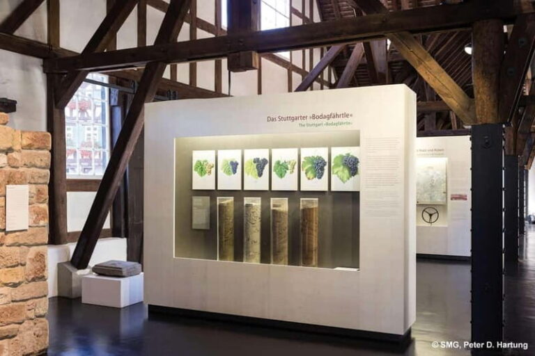 Stuttgart: Taster tour of the Wine Museum incl. 0.1 l wine - Why This Tour Offers Value