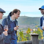 Stuttgart: Wine hike with wine tasting - The Route: Vineyards, Views, and Winemaking