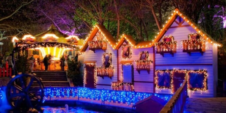 Sublime Christmas Tour in Halkidiki - What Makes This Tour Special?