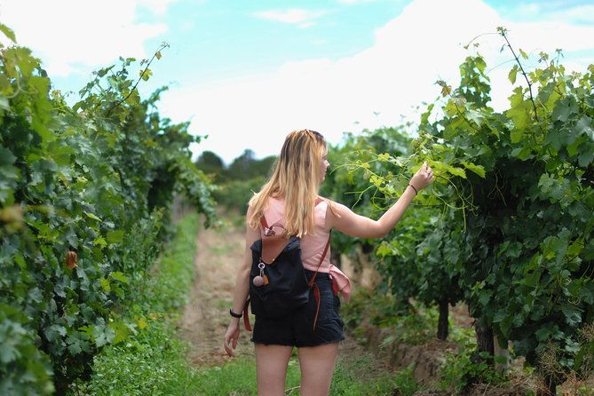 Sula Vineyards Day tour from Mumbai - What We Love About the Sula Vineyards Day Tour
