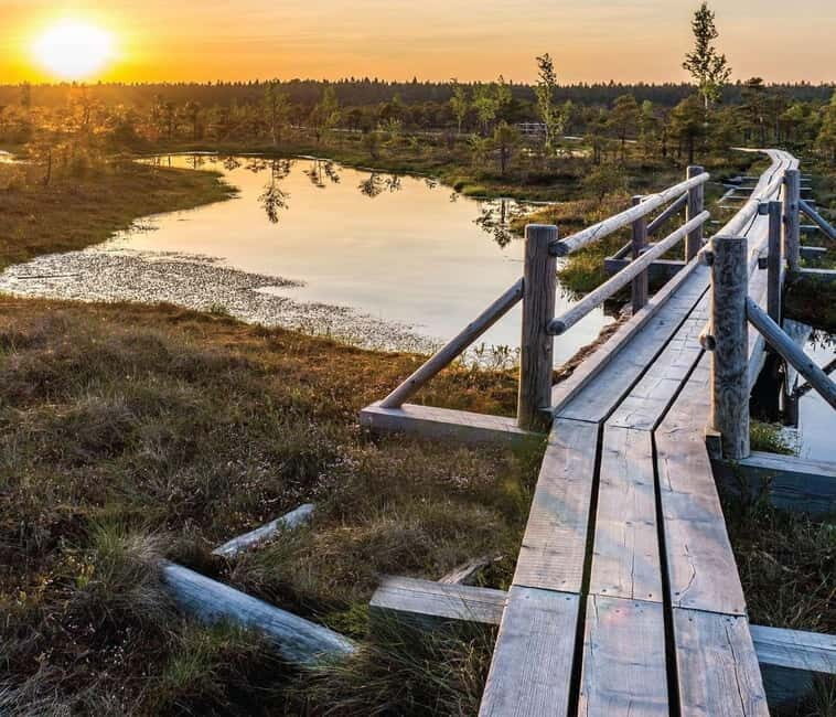 Sunrise Tour To Great Kemeri Bog - Transportation and Value