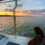 Sunset Boat Trip - What To Expect Onboard