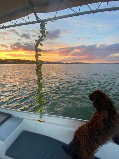 Sunset Boat Trip