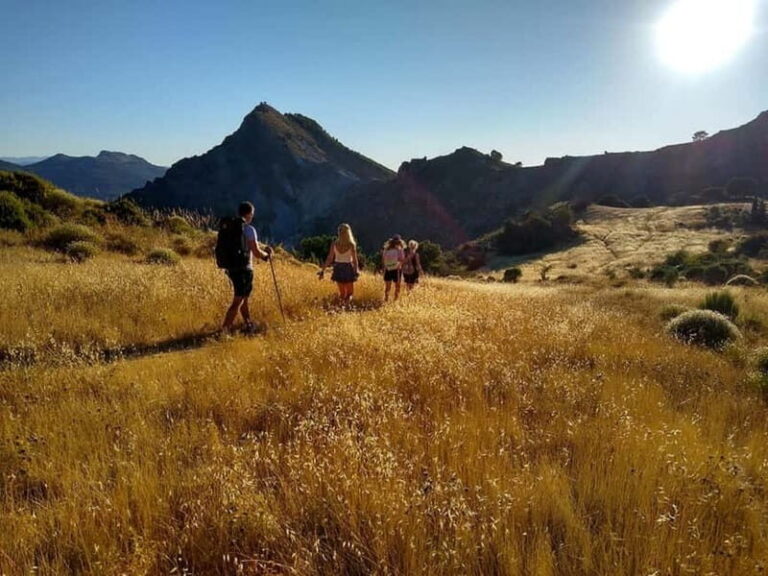 Sunset Hike & Summit Sierra Nevada with pup - The Practicalities: Pricing, Gear, and Tips