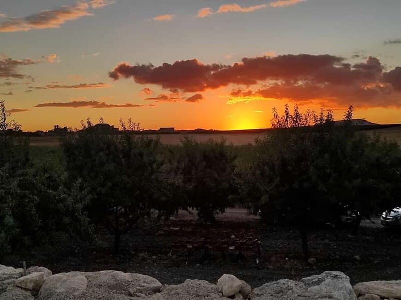 Sunset Painting Among the Vineyards of Mazara Del Vallo - Who Would Love This Tour?