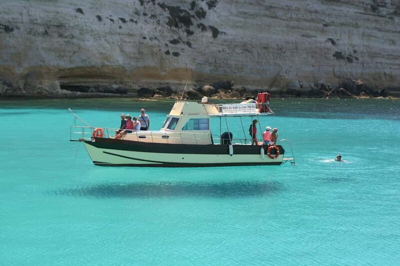 SUNSET TOUR WITH DOLPHIN WATCHING - A Closer Look at the Sunset Dolphin Watching Tour
