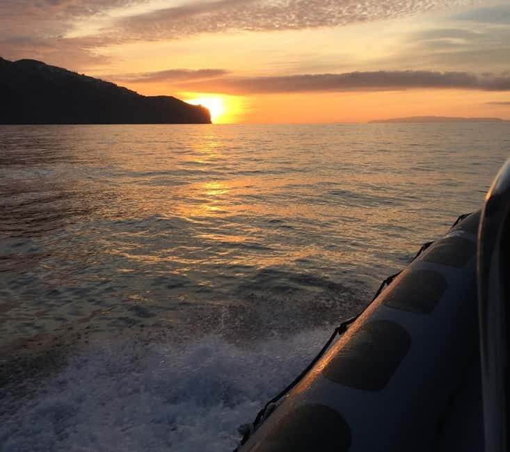 Sunset Trip + Dolphin & Whale Watching - Speed Boat - What’s Included & What to Bring