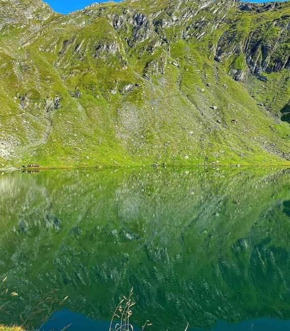 SUPER TOUR: Top Gear Road with Wild Bears Sightseeing - Practical Tips for the Tour