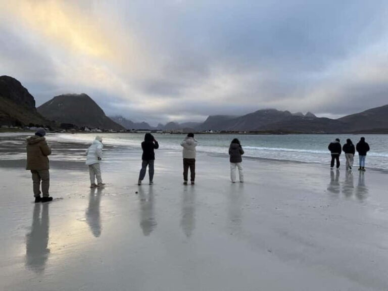 Svolvær: Lofoten Islands Full-Day Guided Tour - The Full-Day Tour: What You Can Expect
