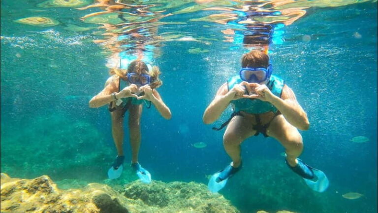 Tabarca Island: Guided Snorkel Excursion - What to Expect During the Tour