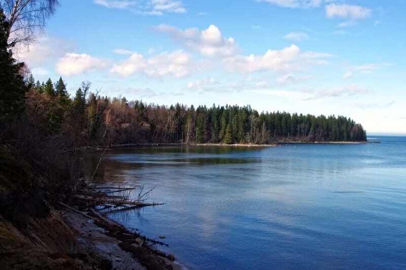 Tallinn: Best Estonian Nature Trails in a Day Guided Tour - Why This Tour Is a Fantastic Choice