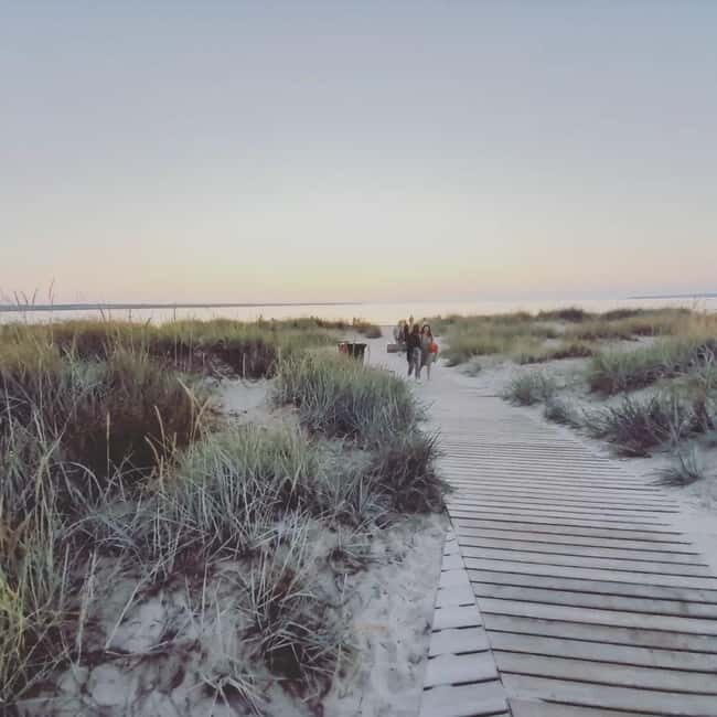 Tallinn: Hidden Gems of Northern Estonia Half Day Trip 5h - Pakri Peninsula and Coastal Cliffs
