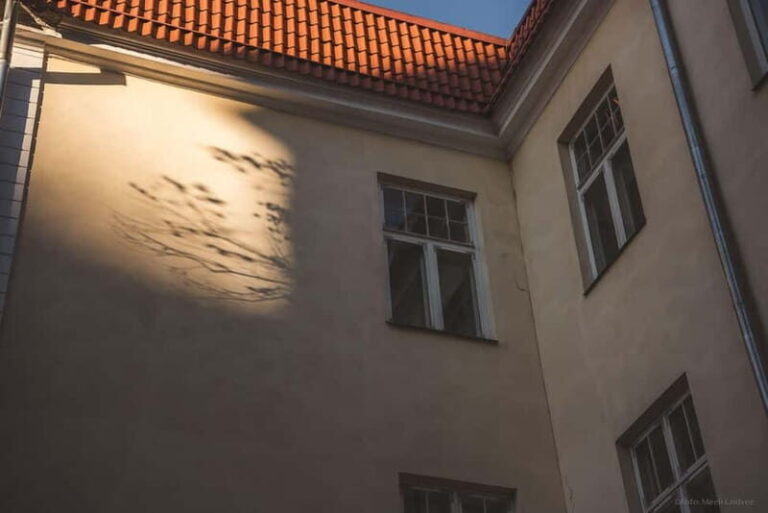 Tallinn: Old Town Ghost Tour - An In-Depth Look at the Tallinn: Old Town Ghost Tour