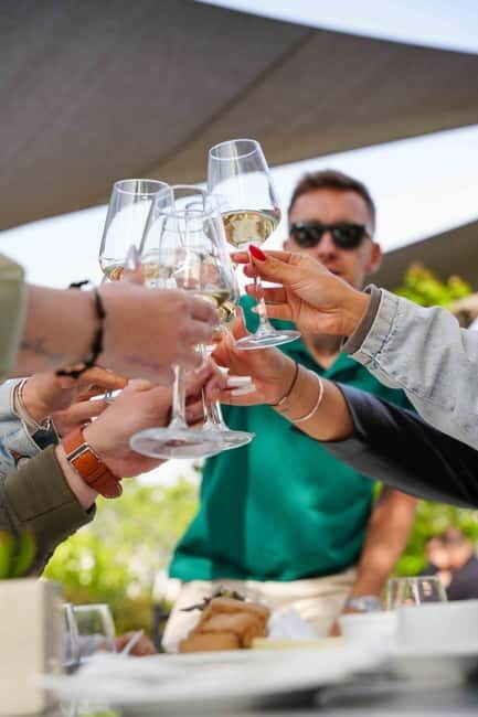 Taste & Create: Santorini Wine & Cooking Experience - Who Is This Tour Best For?