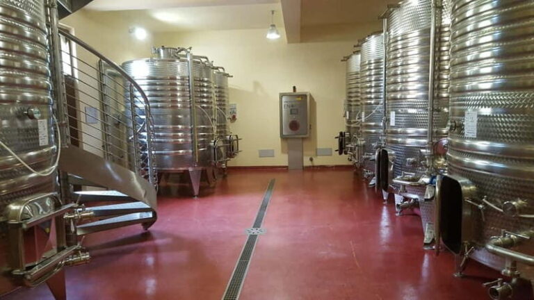 Tasting and tour of the winery - A Closer Look at the Winery Experience