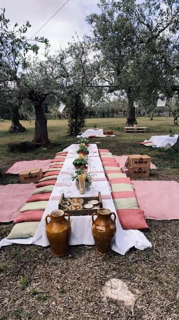 Tasting in the countryside of Conversano: Picnic among the olive groves - The Sum Up: Is this Experience Right for You?