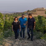 Tasting of EVO Wines and Oil in the countryside of Agrigento - A Closer Look at the Experience