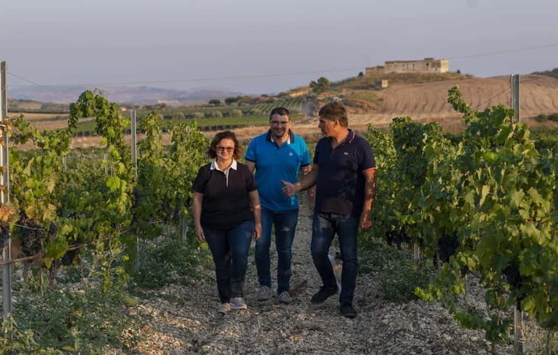 Tasting of EVO Wines and Oil in the countryside of Agrigento - A Closer Look at the Experience