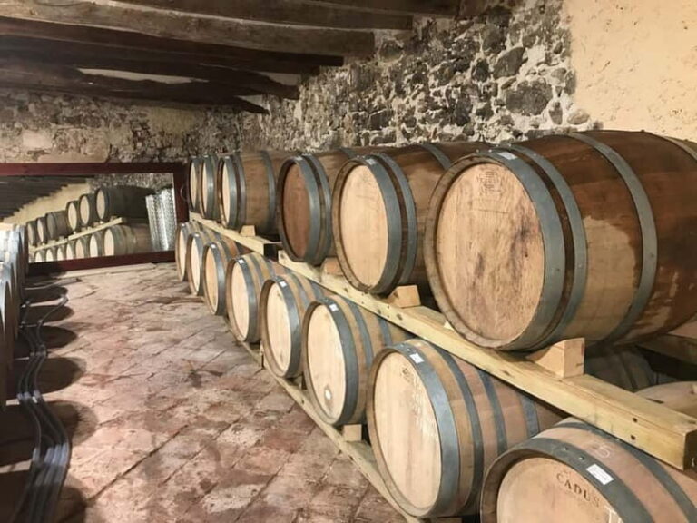 tasting wines in the vineyards with hotel pickup hotel - Final Thoughts on Value and Who Will Love It