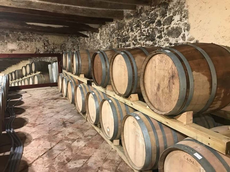 tasting wines in the vineyards with hotel pickup hotel - Final Thoughts on Value and Who Will Love It